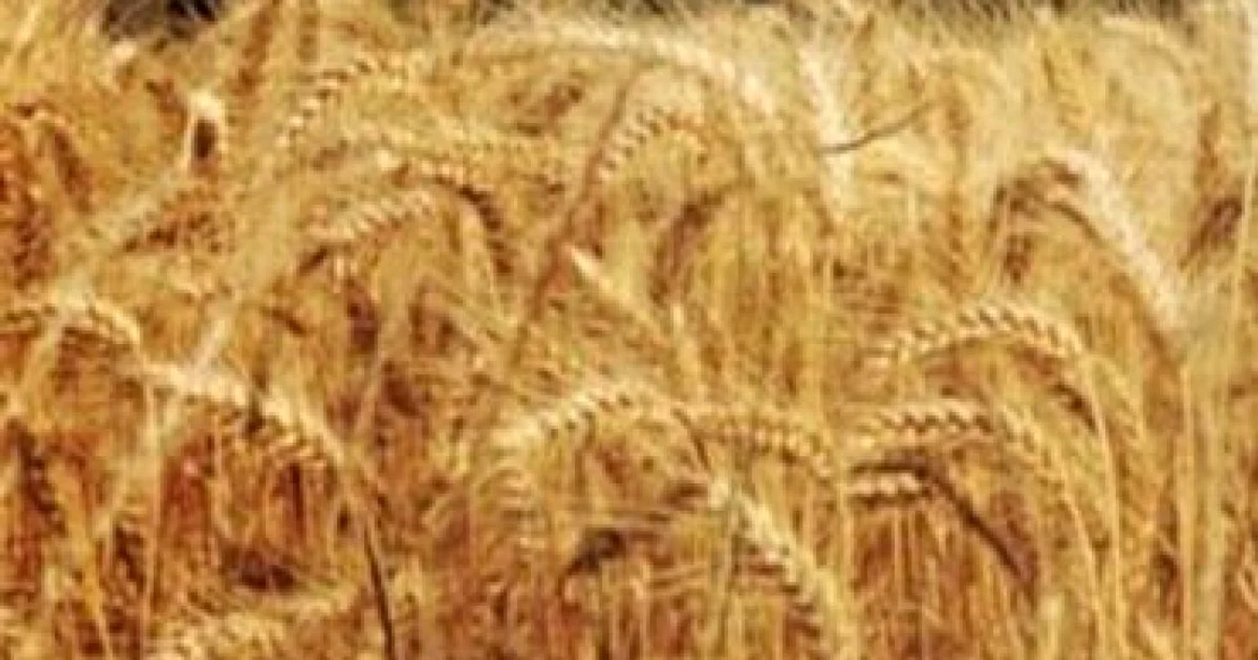 Peste 160 de milioane de euro pentru modernizarea exploataţiilor agricole