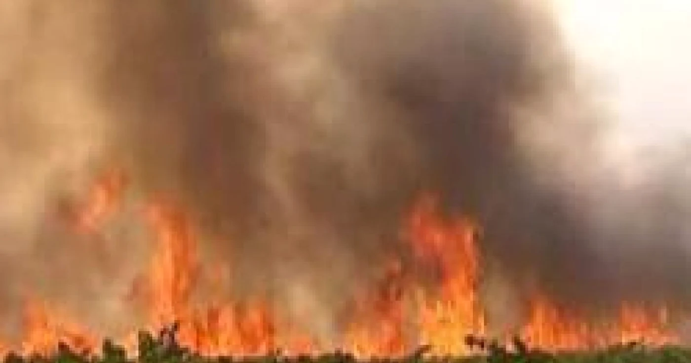 Incendiul a fost provocat de fumatul în locuri nepermise