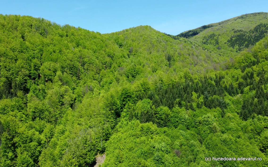 Valea Anineșului și cetatea dacică Vârful lui Hulpe Foto Daniel Guță (30) JPG