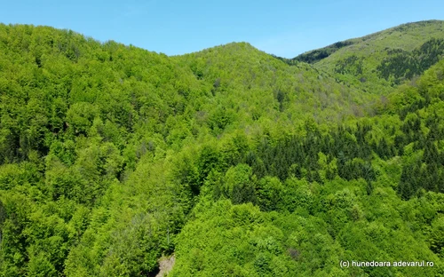 Valea Anineșului și cetatea dacică Vârful lui Hulpe Foto Daniel Guță (30) JPG