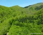 Valea Anineșului și cetatea dacică Vârful lui Hulpe  Foto Daniel Guță (30) JPG