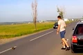 pisoi salvat captura video jpg