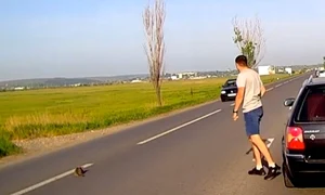 pisoi salvat captura video jpg