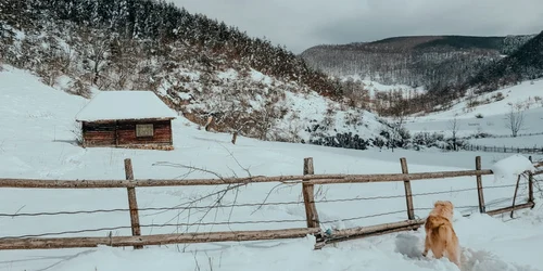 iarna in ponorici foto lucian ignat