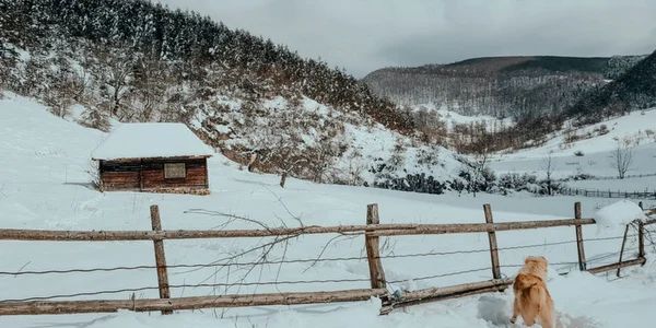 iarna in ponorici foto lucian ignat