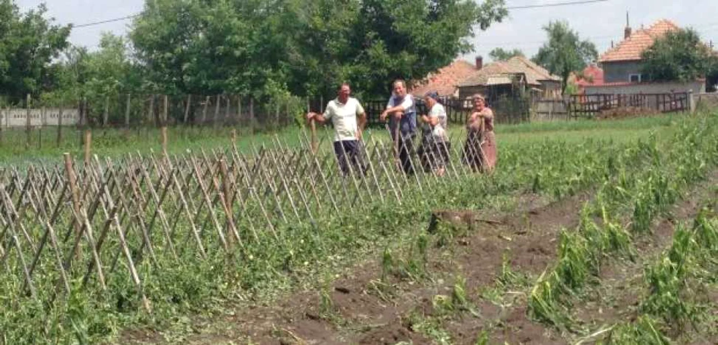 FOTO Arhivă