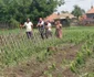 Grindina a distrus grădiinile şi terenurile agricole în comuna doljeană Galicea Mare
