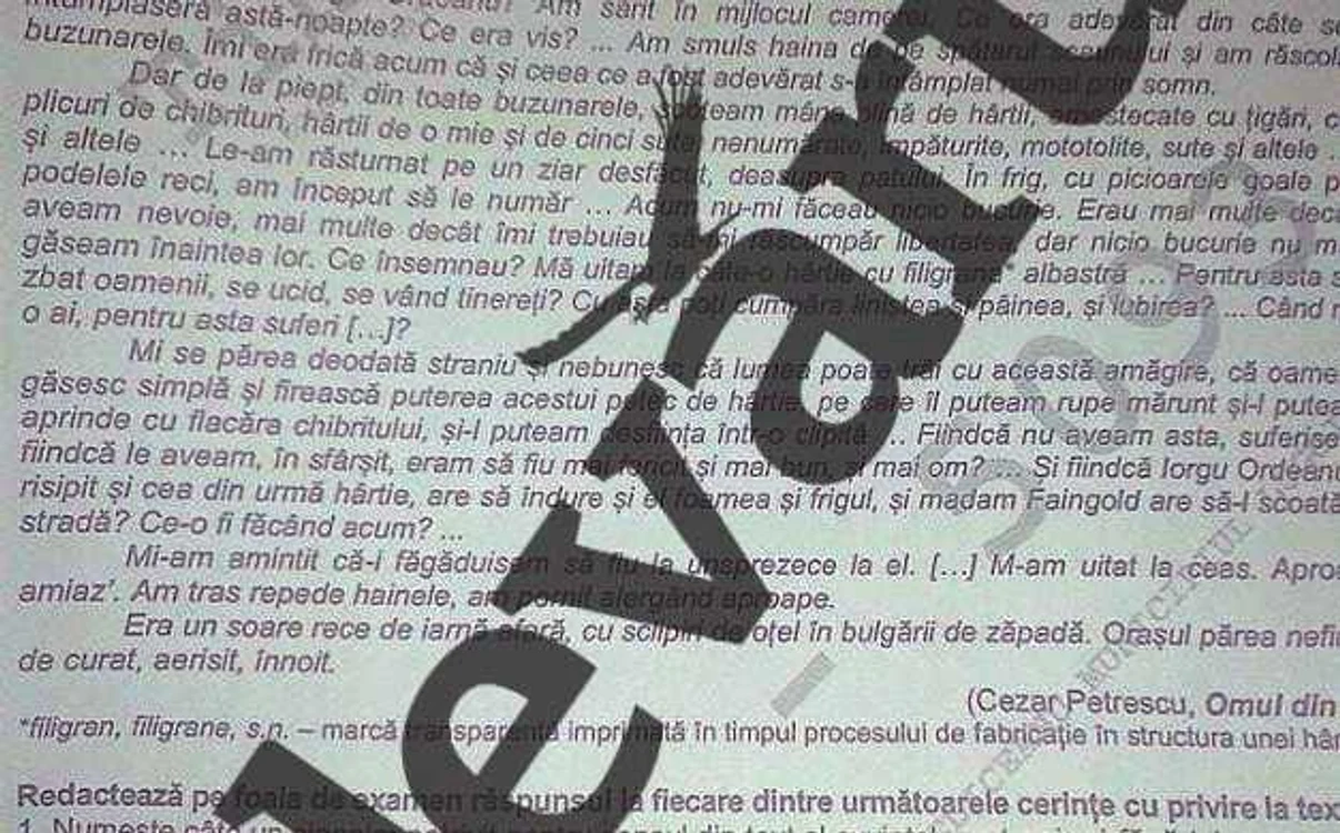 subiecte bac