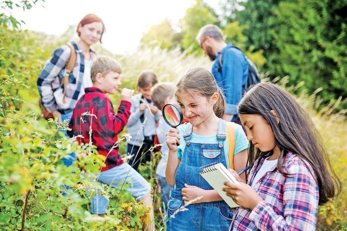 Elevii vor ieşi în natură  pentru a învăţa despre  mediul înconjurător