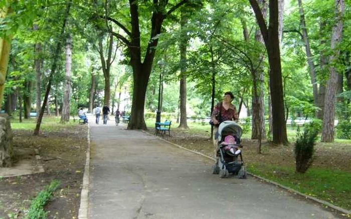 Zeci de pomi vor fi plantaţi în această săptămână în Parcul Mihai Eminescu