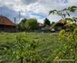 satul batrana din Hunedoara Foto Daniel Guță (52) jpg