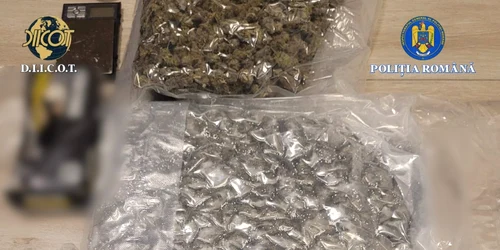 drocuri descoperite la iasi foro diicot jpeg