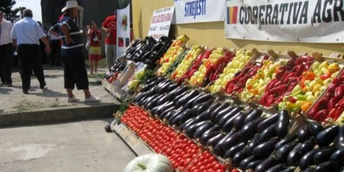 Fructele şi legumele produse sau comercializate în judeţ pot fi mâncate cu încredere