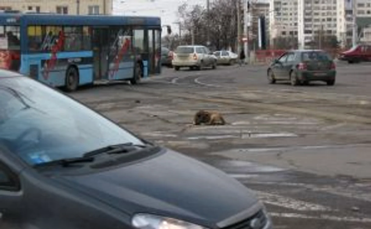 Iaşiul în a doua zi de Crăciun