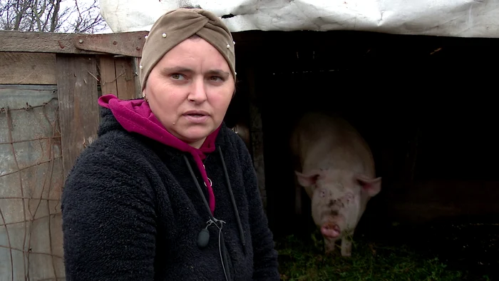 Cristina speră să aibă animalul sănătos până de Ignat. FOTO I. Bunilă