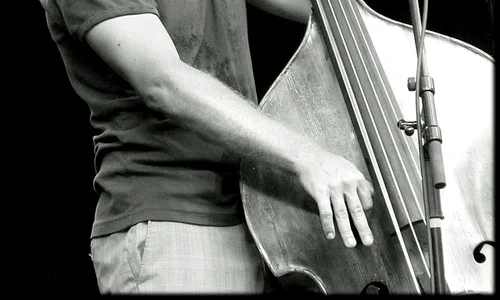 „Noaptea preşedinţilor“, Avishai Cohen Trio şi maratonul de filme horror de la TCM jpeg