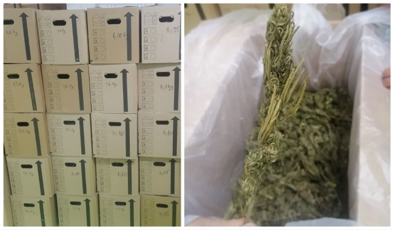 Zeci de baxuri pline cu muguri de canabis au fost descoperite, la sfârşitul săptămânii trecute într-un bloc din Oradea