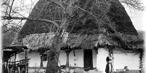 casa cizer