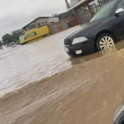ilfov inundatii jpg