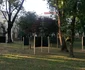 Scheletul bisericii de la Povergina a ajuns la Timișoara FOTO Ștefan Both