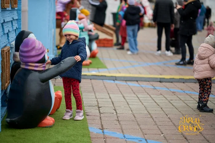 Târgul de Crăciun, deschis pentru copiii cu nevoi speciale pe 7 decembrie FOTO: PROEDUS