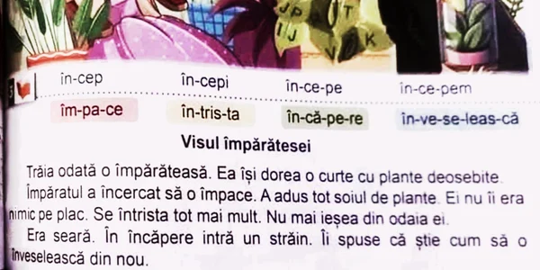 visul împărătesei foto Facebook jpg