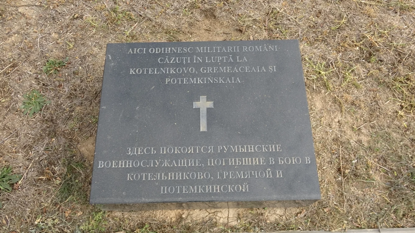 DSC00139 jpg jpeg