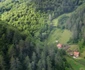 runcu mare foto daniel guta adevarul