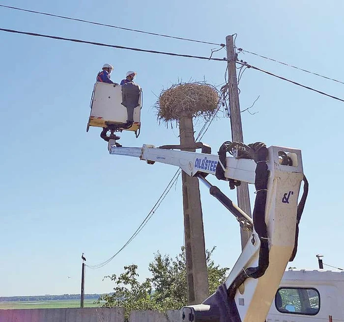 «Am găsit cuiburi cu sfori, plase şi pungi»