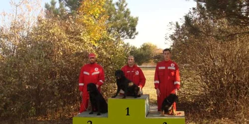 Neky (locul I) este considerat cel mai rapid câine din România