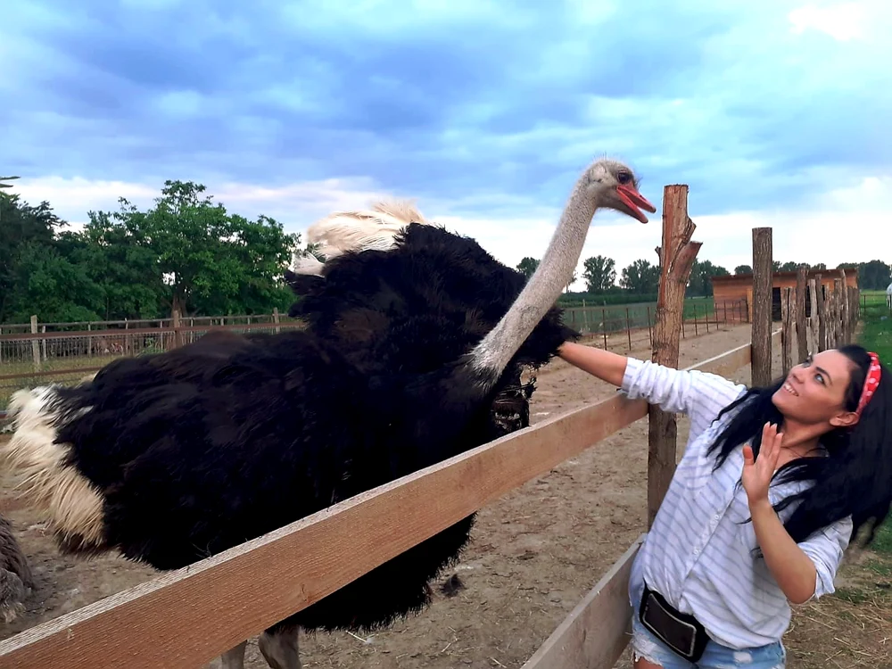 Cătălina, la fermă FOTO LB 