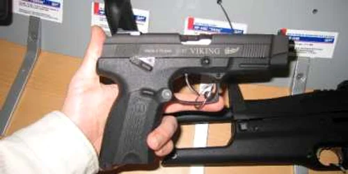 Un băcăuan a luat la ţintă câinii din Scorniceşti