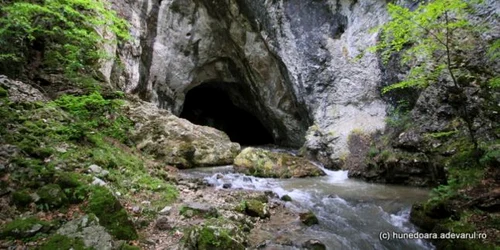 pesterea cioclovina foto daniel guta adevarul