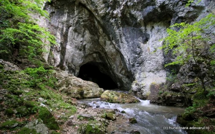 Peştera Cioclovina de apă. ADEVĂRUL.