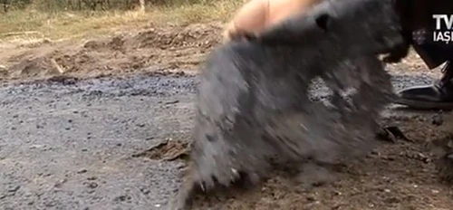 Așa se reabilitează drumurile în România!Foto: captură video TVR