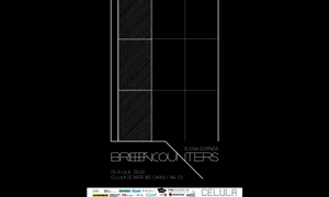 „Brief Encounters”, live performance la Celula de Artă jpeg