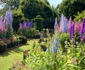Highgrove House (125) jpeg
