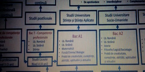 bac propuneri