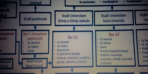 bac propuneri