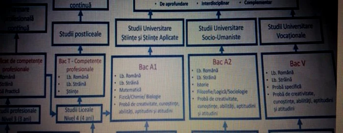 Disciplina Geografie nu se mai regăseşte la niciun tip de BAC