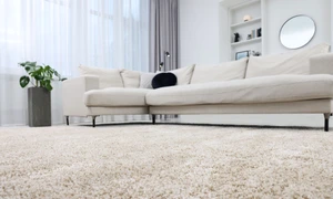 shutterstock 2361968689 jpg