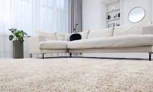 Covor - mobila canapea - living FOTO Shutterstock 