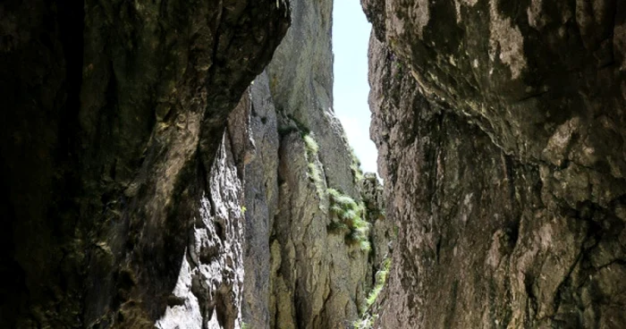 valea horoabelor