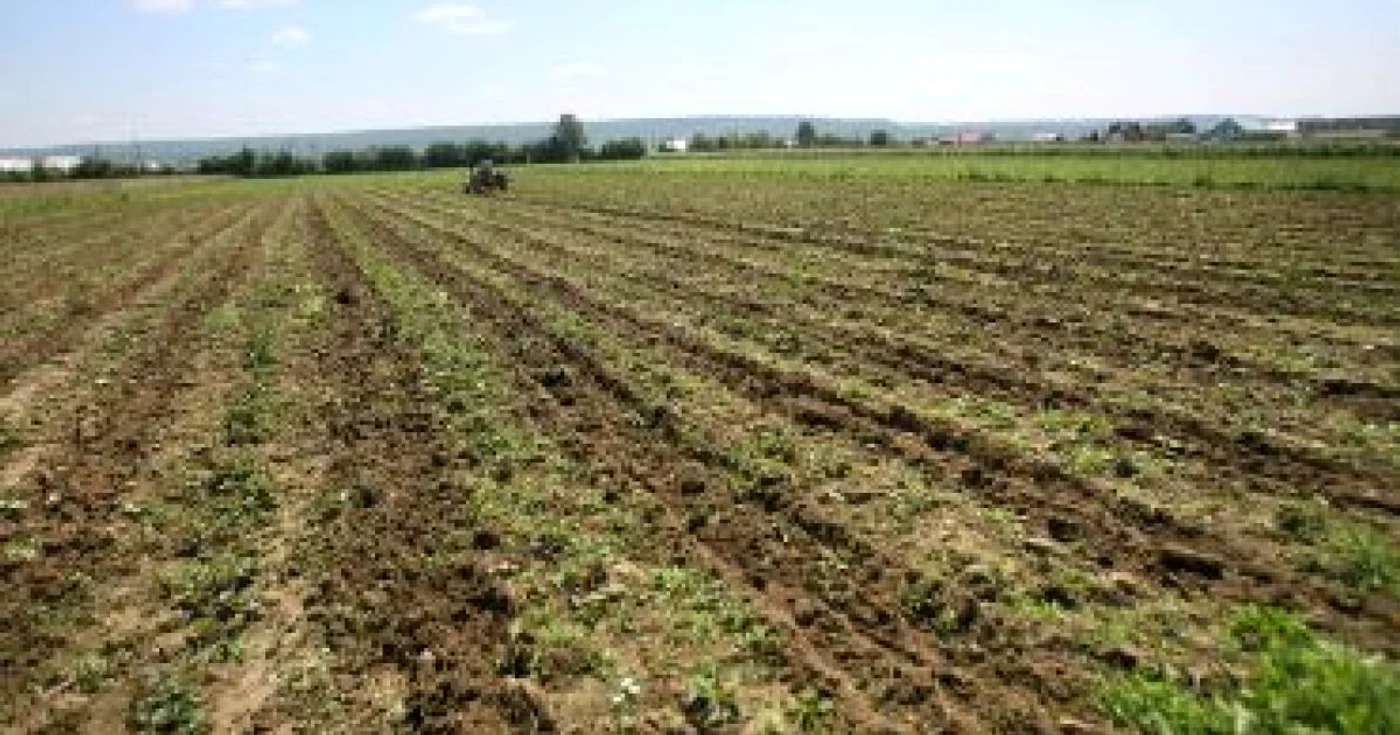 Slatina: Agricultorii primesc subvenţiile în avans