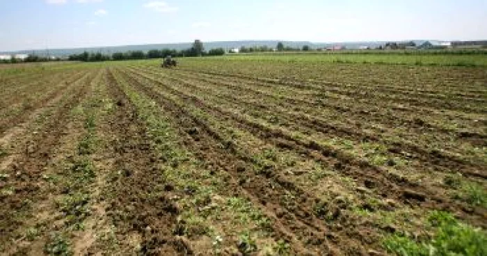 Slatina: Agricultorii primesc subvenţiile în avans