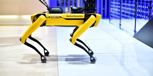 Spot caine robot boston dynamics Foto AFP jpg