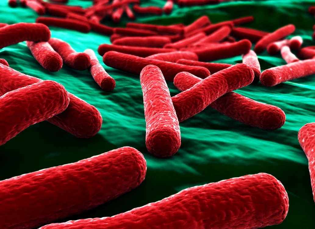 Bacteria Clostridium difficile a devenit rezistentă la antibiotice şi pune în pericol viaţa pacienţilor din spitale FOTO: Shutterstock