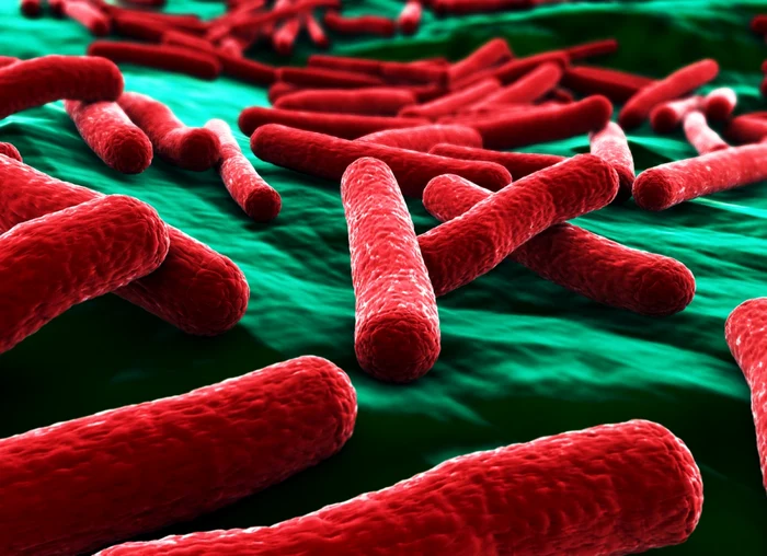 Bacteriile care nu pot fi omorâte de niciun antibiotic ameninţă omenirea  FOTO Arhivă