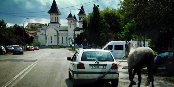 cal legat de masina hunedoara