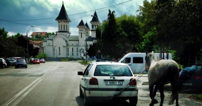 Un hunedorean şi-a legat calul de maşină şi a plecat cu el la plimbare. FOTO: Lucian Ionescu.